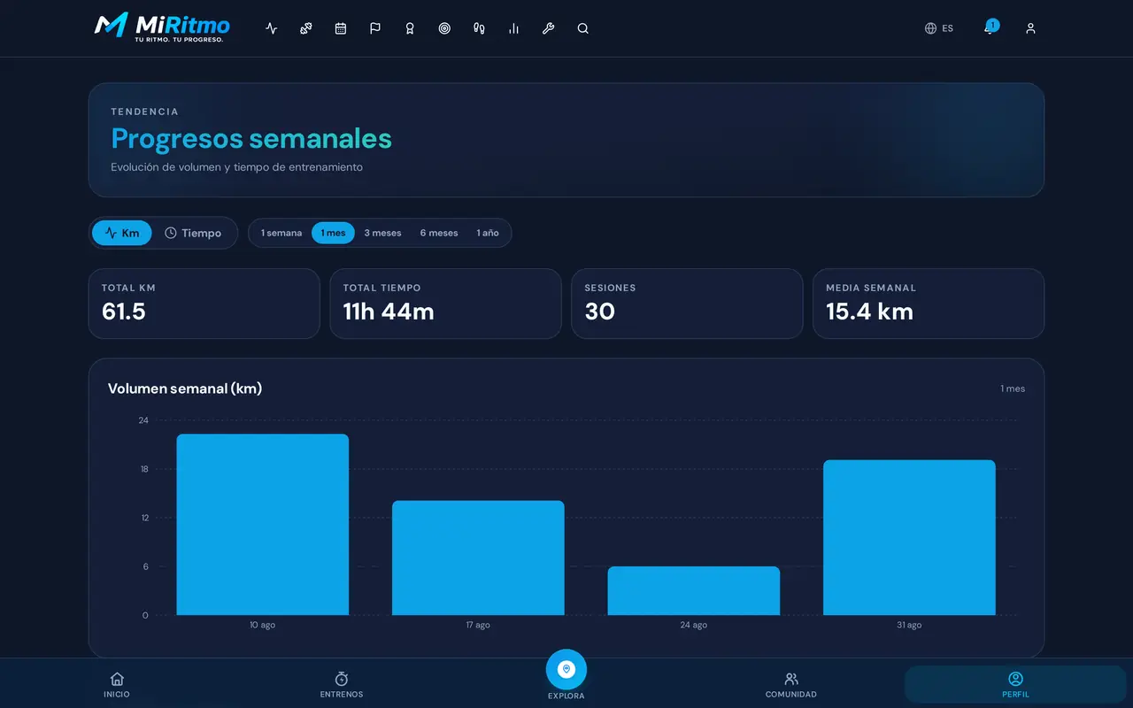 Progresos semanales en el ordenador